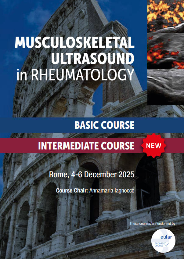 Musculoskeletal Ultrasound in Rheumatology